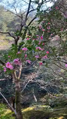 慈照寺（慈照禅寺・銀閣寺）(京都府)