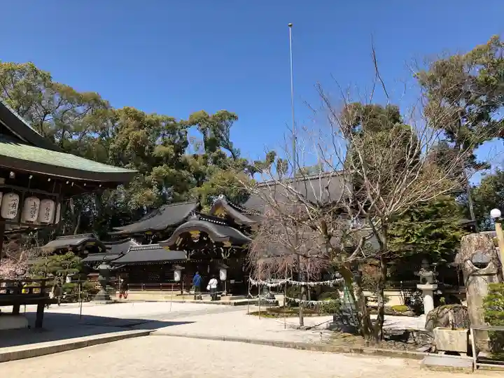 今宮神社の本殿・本堂