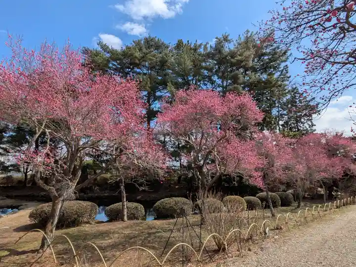 山神社(宮城県)