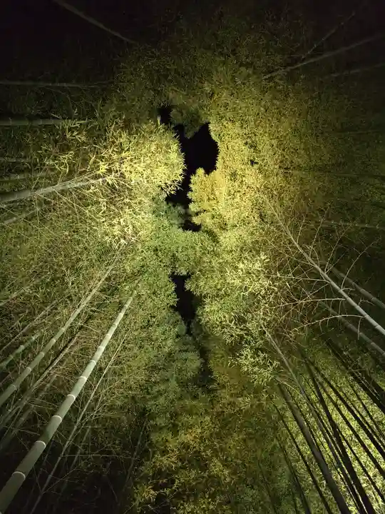 高台寺(高台寿聖禅寺・高臺寺)(京都府)