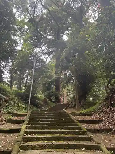 日吉神社(千葉県)