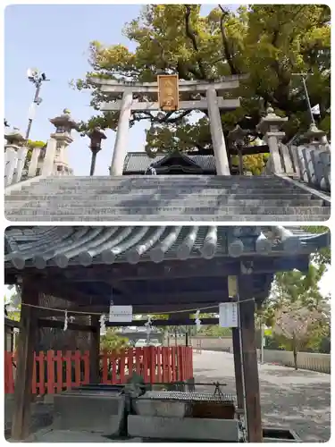 百舌鳥八幡宮(大阪府)