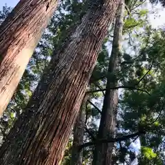 諫早神社（九州総守護  四面宮）(長崎県)