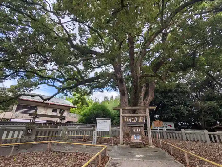 冠纓神社(香川県)