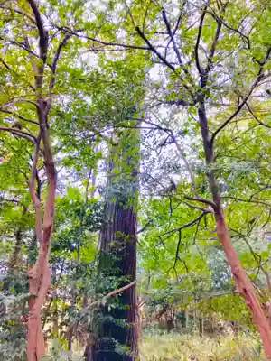 大鷲神社の自然