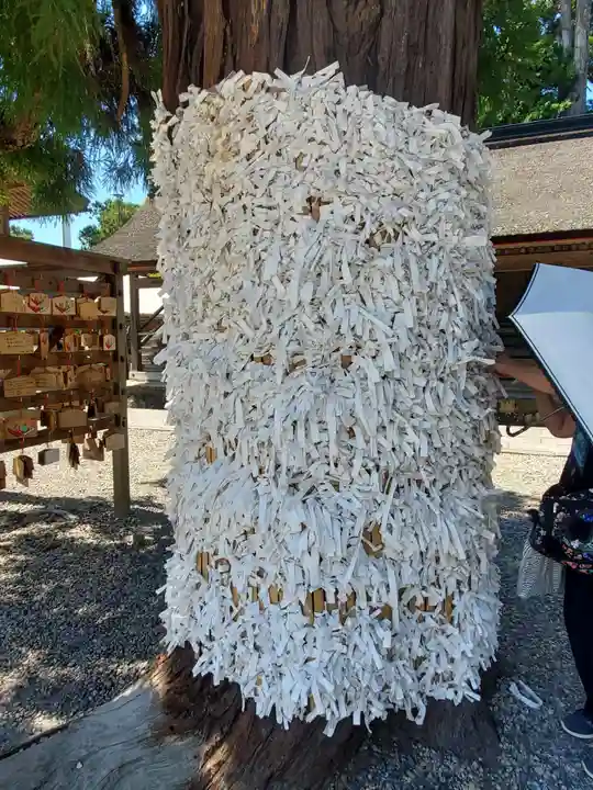 出雲大社(島根県)