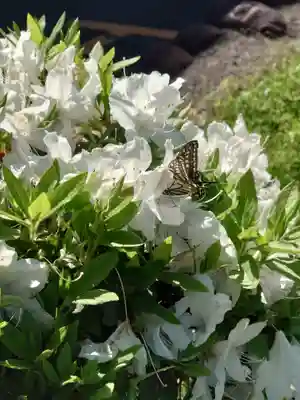 塞の神(埼玉県)