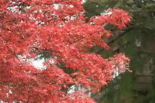 談山神社の自然