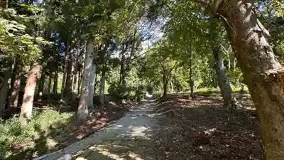 桜本山 正寿院(山形県)