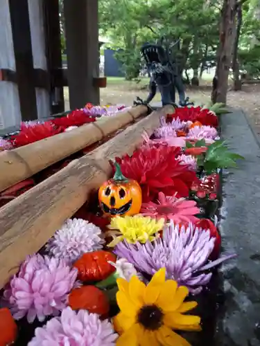 札幌護國神社の手水