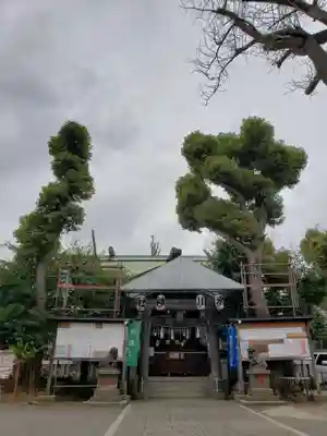 幡ケ谷氷川神社の鳥居
