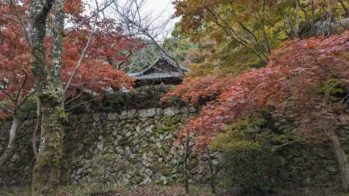 勝持寺(花の寺)(京都府)