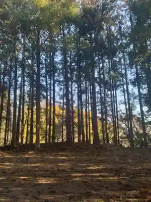 小針薬師如来堂(宮城県)