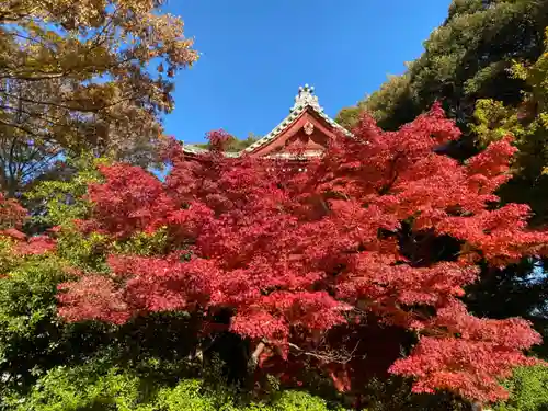 本土寺(千葉県)