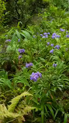 御霊神社（上御霊神社）(京都府)