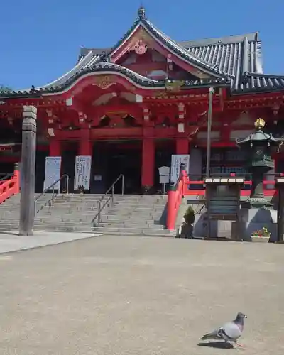 甚目寺(愛知県)