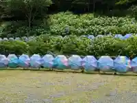 尊永寺(静岡県)