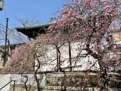 鬼法教総神苑(京都府)