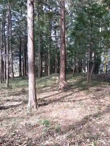十社神社(埼玉県)