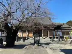 大林寺の本殿