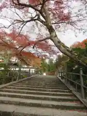 岡寺（龍蓋寺）の自然