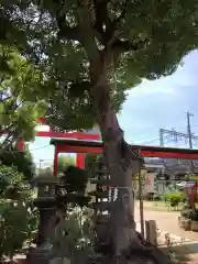 尼崎えびす神社(兵庫県)