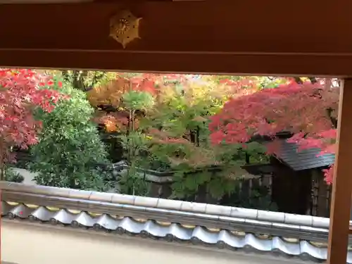 来迎寺(井戸来迎寺・紫雲山来迎寺)の庭園