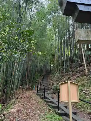 神龍八大龍王神社(熊本県)
