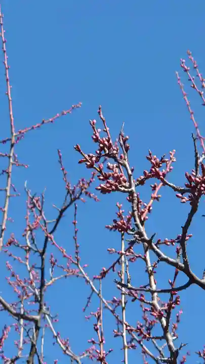 相馬神社(北海道)