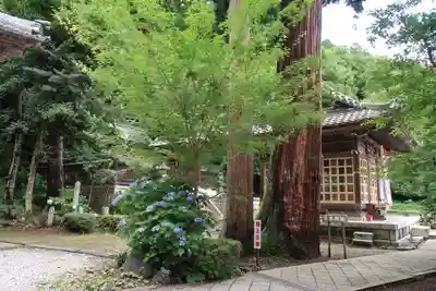 日吉神社(滋賀県)