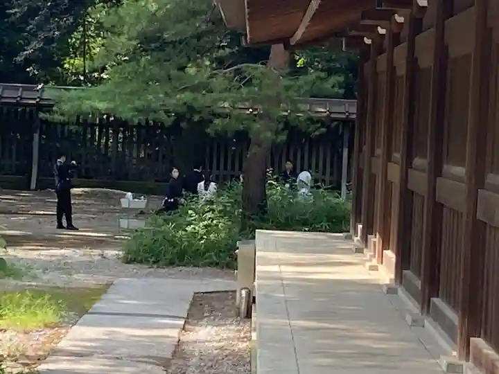 明治神宮(東京都)