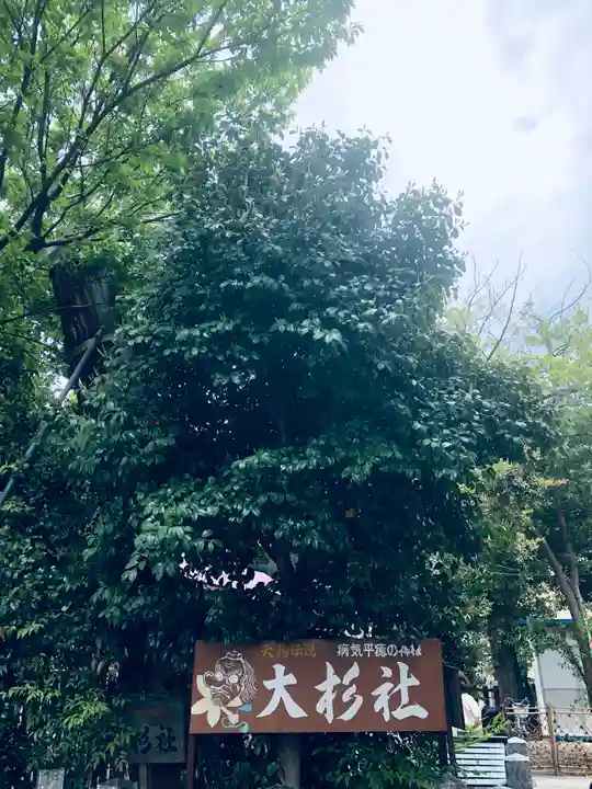 伊奴神社の自然