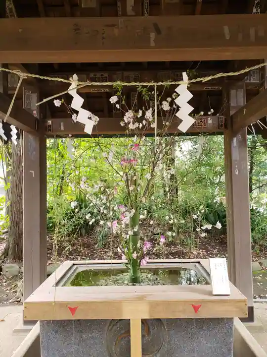 赤坂氷川神社の手水舎