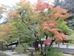 永源寺(滋賀県)