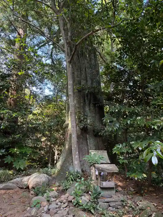 大井神社(茨城県)