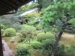 隨心院（随心院）(京都府)