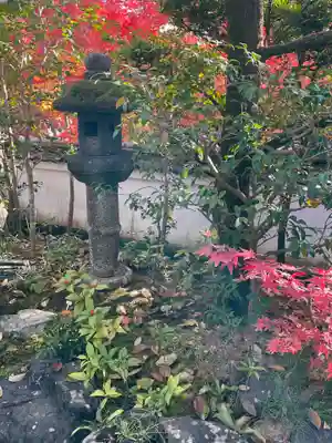 智福院(京都府)