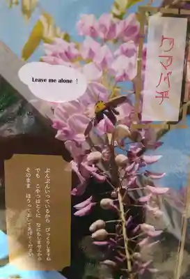 阿智神社(岡山県)