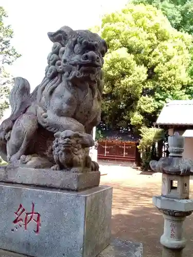 駒林八幡神社の狛犬