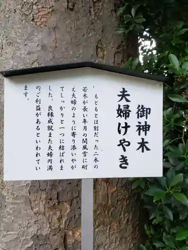 阿佐ヶ谷神明宮のその他建物