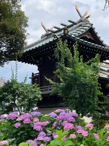 白山神社(東京都)