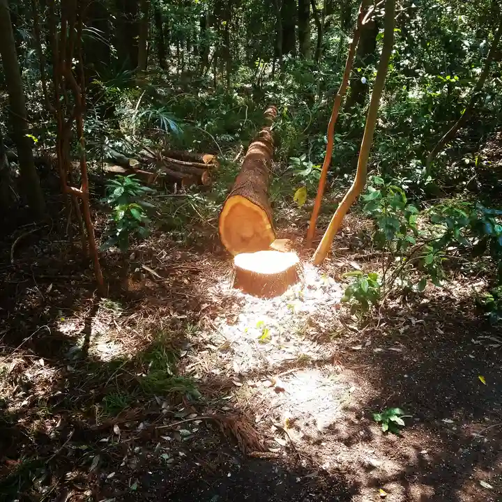 鹿島神宮の自然