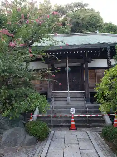 遍照寺の本殿・本堂