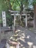 荻窪白山神社(東京都)