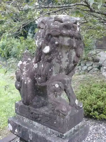 七社神明神社の狛犬