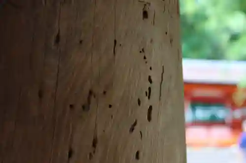 春日大社(奈良県)