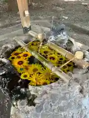 駒形神社の手水