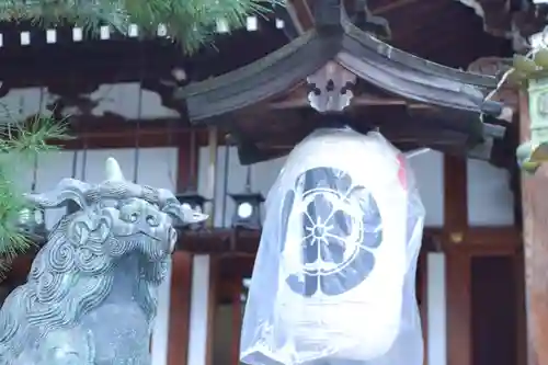 杭全神社の狛犬