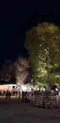 亀有香取神社のその他建物