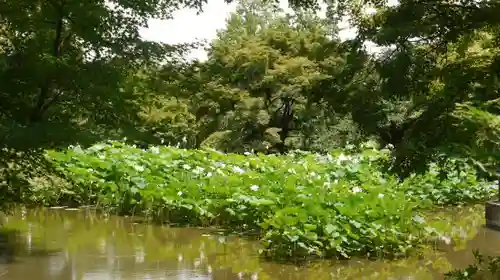 半木神社の庭園